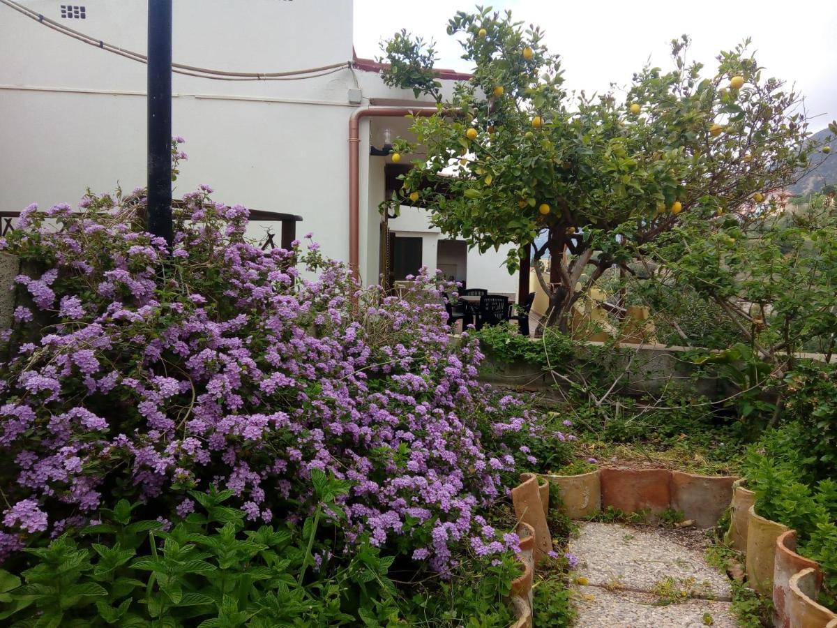 Sa Corte Antiga Nebida Exterior photo